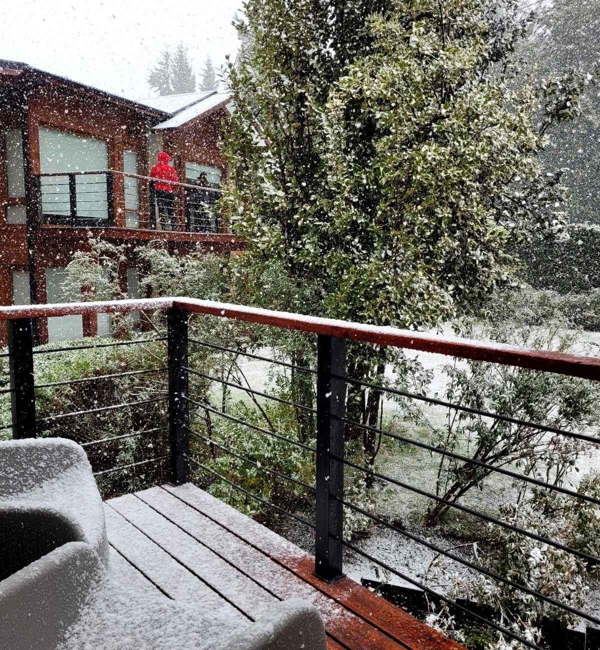 WhatsApp Image 2025-03-30 at 19.38.36